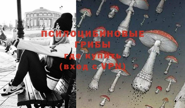 гашик Зерноград