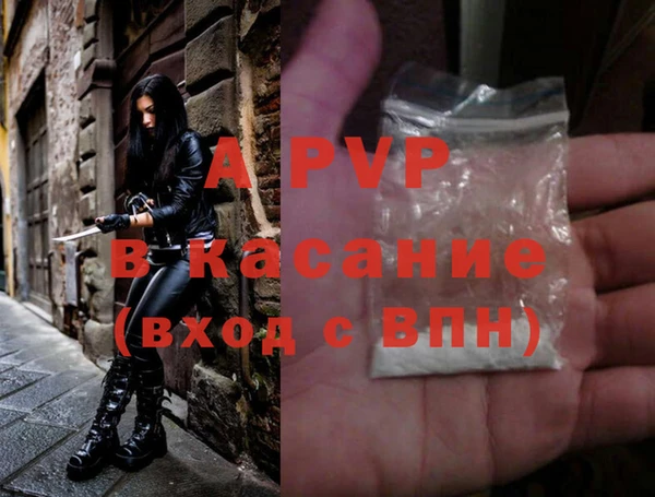 гашик Зерноград